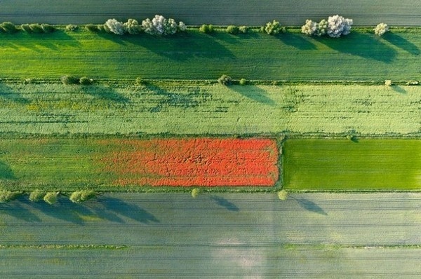 Kacper Kowalski #photography #aerial #landscape