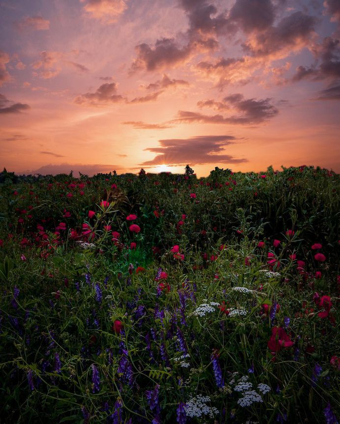 Beautiful Landscapes of Catalonia by Carlos Girona