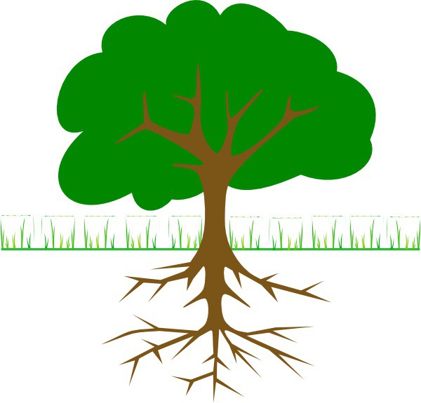 #treelogo - Tree Branches And Roots