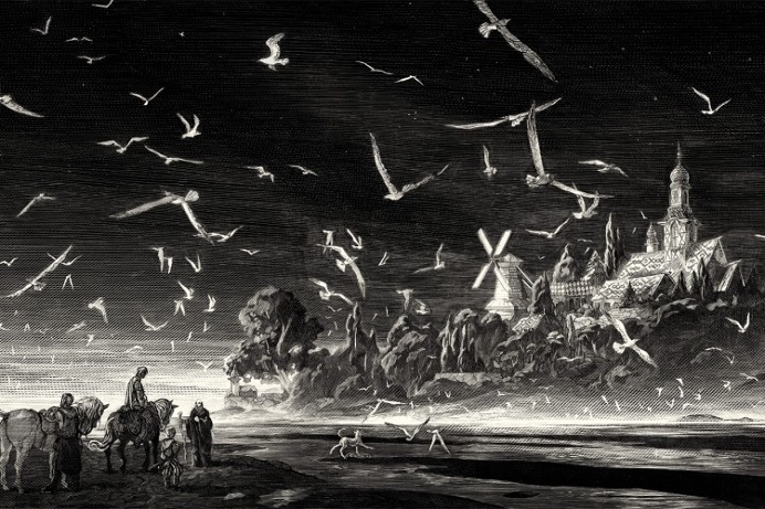 Ink Illustrations