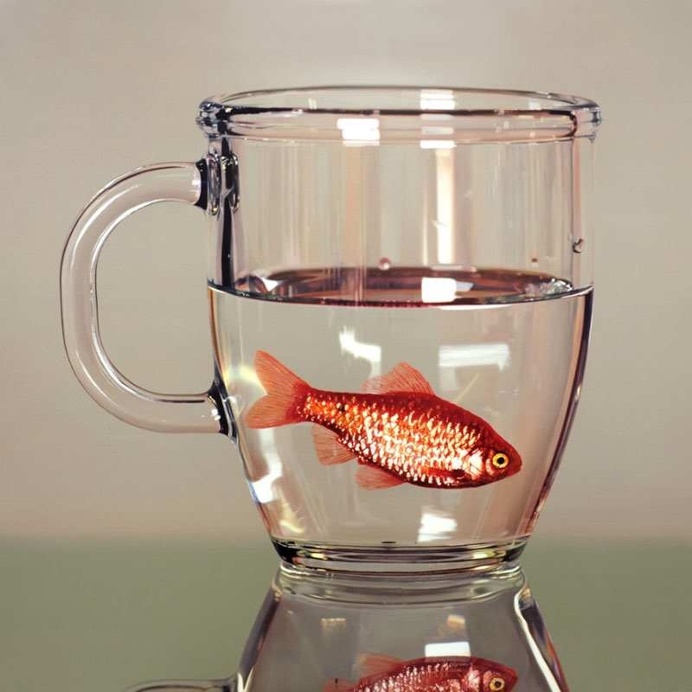Hyperrealistic Oil Paintings by Young-Sung Kim
