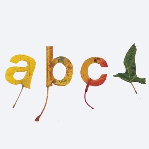 studio-gloeilamp-type-leaves.jpg 500×500 pixels #cut #letters #typography #bird #abc #leaves