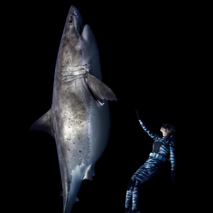 Incredible Underwater Photography by Juan Oliphant