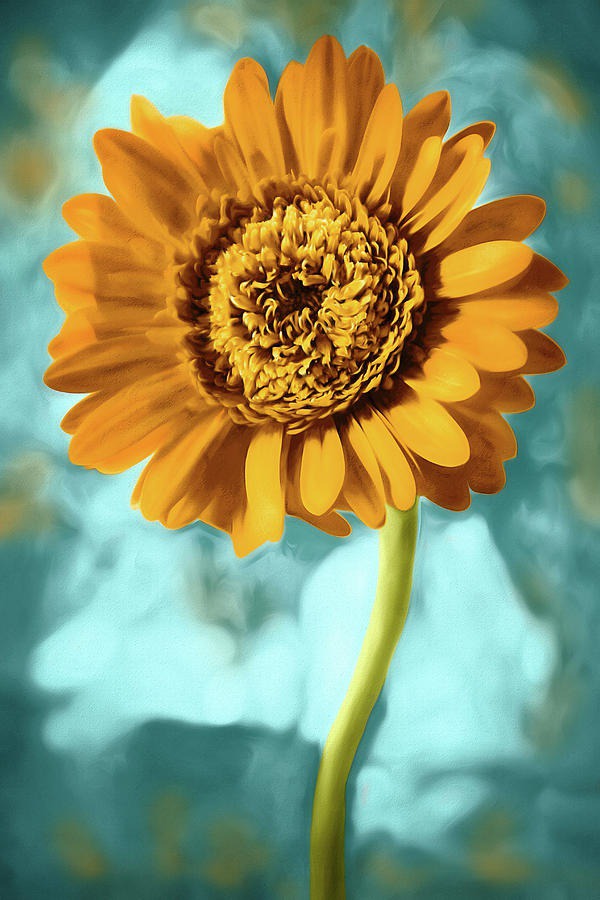 daisy painting & daisy paint by number #painting