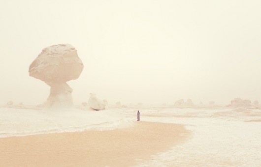 WANKEN - The Blog of Shelby White #balanced #rock #form #desert