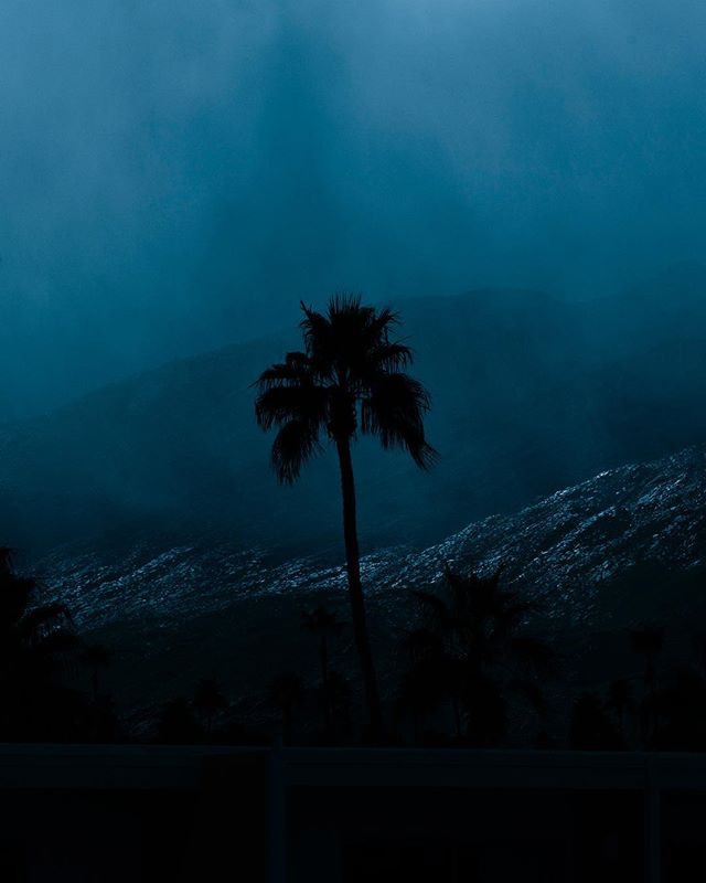 https://www.instagram.com/neilkryszak/