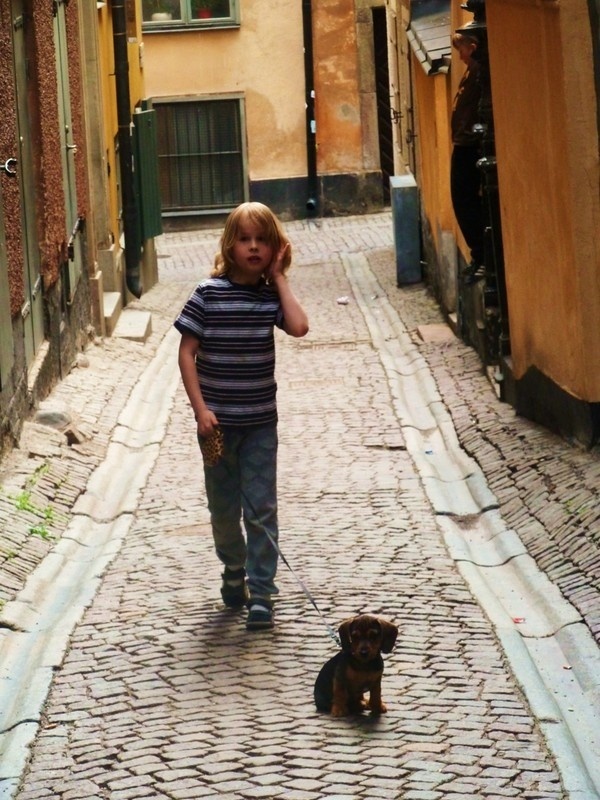 Stock Home 2011 on Behance #sweden #kid #child #puppy #stockholm