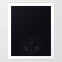 Cat in the shadows