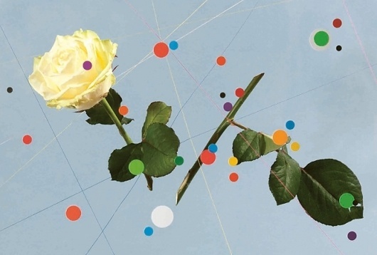 HUH. - Visualised Perfumes by Luke Norman & Nik Adam #cut #circles #flowers