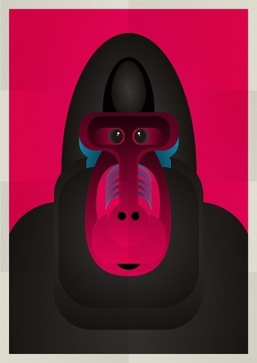 Animals on the Behance Network #vector #print #design #graphic #poster #animals #ilustration