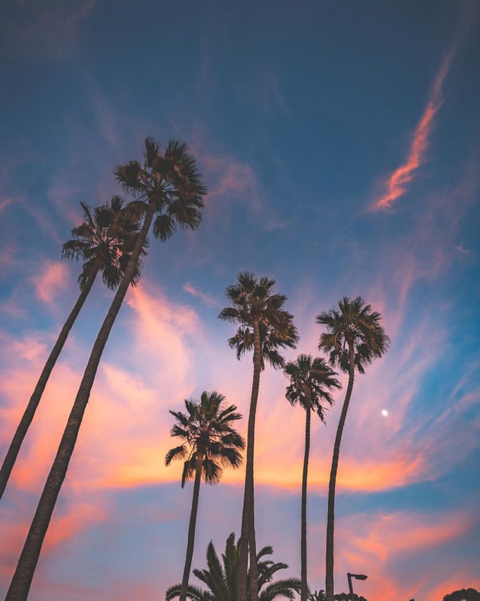 Moody Landscapes of San Diego by Joao Abrussezze