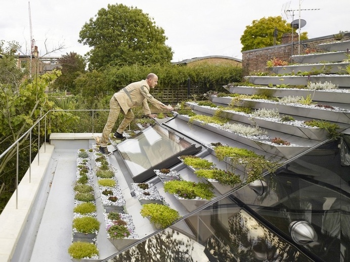Garden House Under a 'Hanging-Basket' Roof / Hayhurst