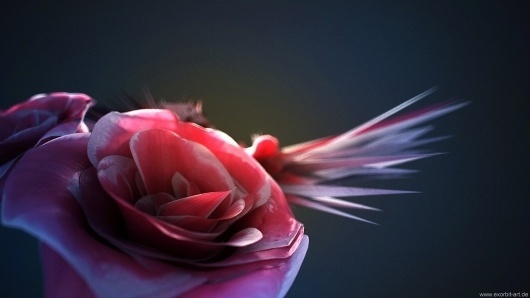 Benjamin Springer #render #rose #vray #exorbitart