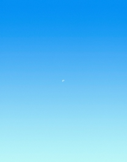 Only the great generalizations survive - but does it float #sky