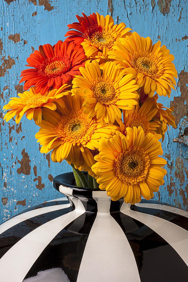 daisy painting & daisy paint by number #painting