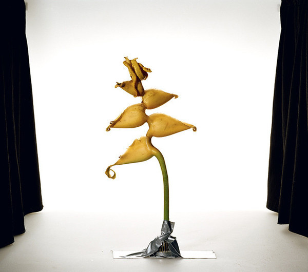 Fine Art Photography by Sanna Kannisto #inspiration #photography #art #fine
