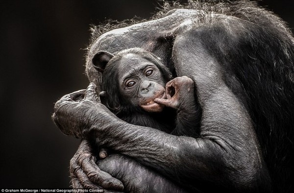 National Geographic 2013 Traveler Photo Contes #inspiration #photography #nature