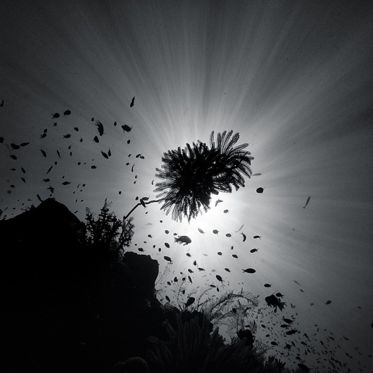 水中の写真 : Hengki Koentjoro Photography | Ghost Room #ocean #mono #photography