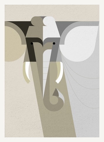 African Elephant Portrait #lumadessa #portrait #elephant