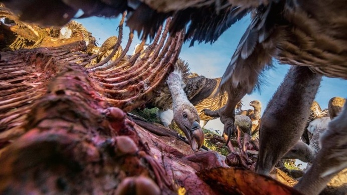 National Geographic Unveils Its 50 Most Beautiful Travel Photos Of 2016's