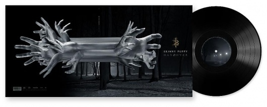 Facebook #album #cover #puppy #skinny #music