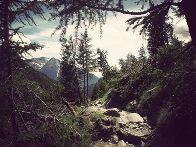 tumblr_kr0ebfAOWB1qz7n7ro1_400.jpg (400×300) #mountain #photography #trees