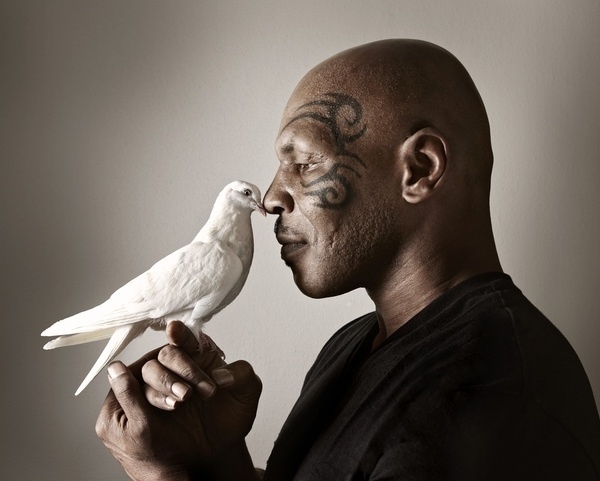 CELEBRITIES on the Behance Network #photography