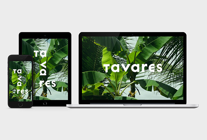 Tavares by Landscape #website