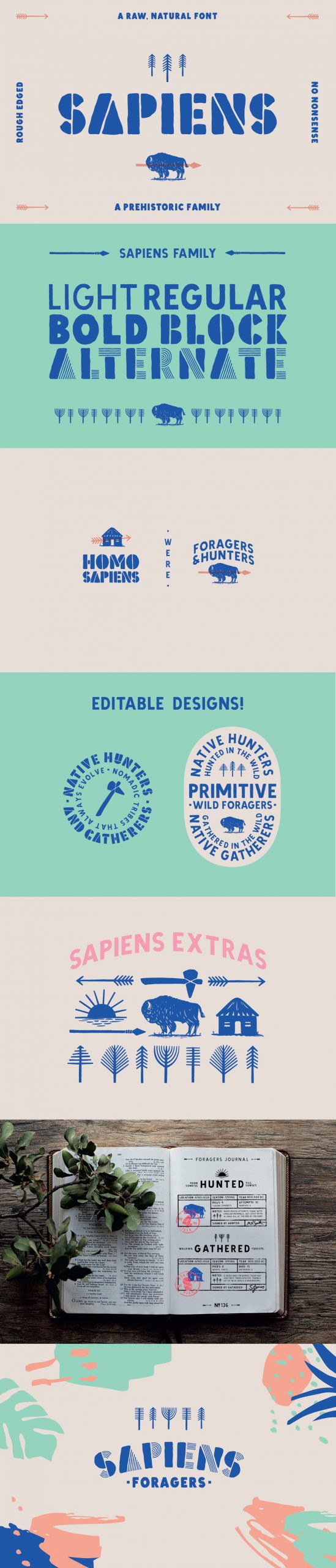 Sapiens Font Family