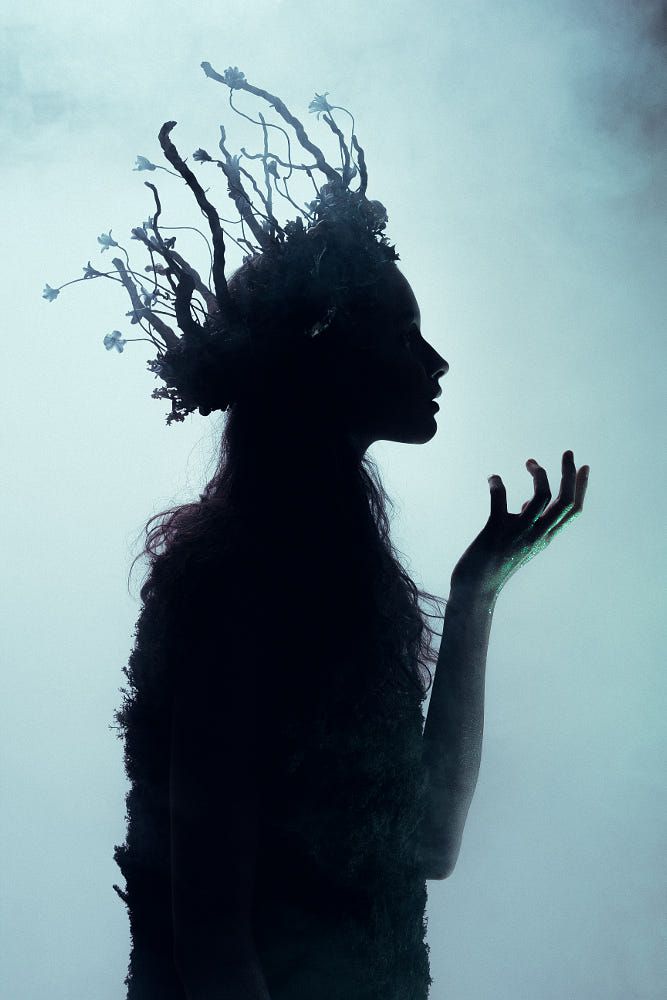Dryad of Night by Leo Ch
