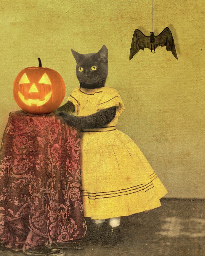beginner easy halloween paintings & paint by numbers #painting