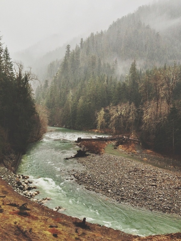 Up Knörth #photography #vsco #nature