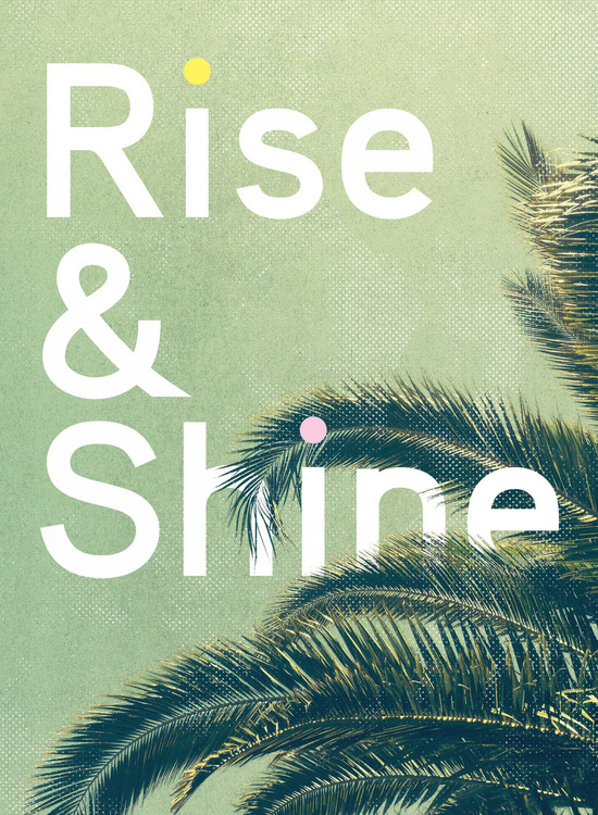 Rise & Shine by Anna Dorfman