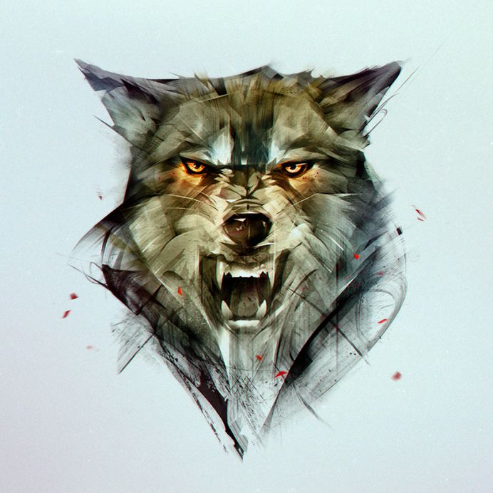 wolf by KHIUS