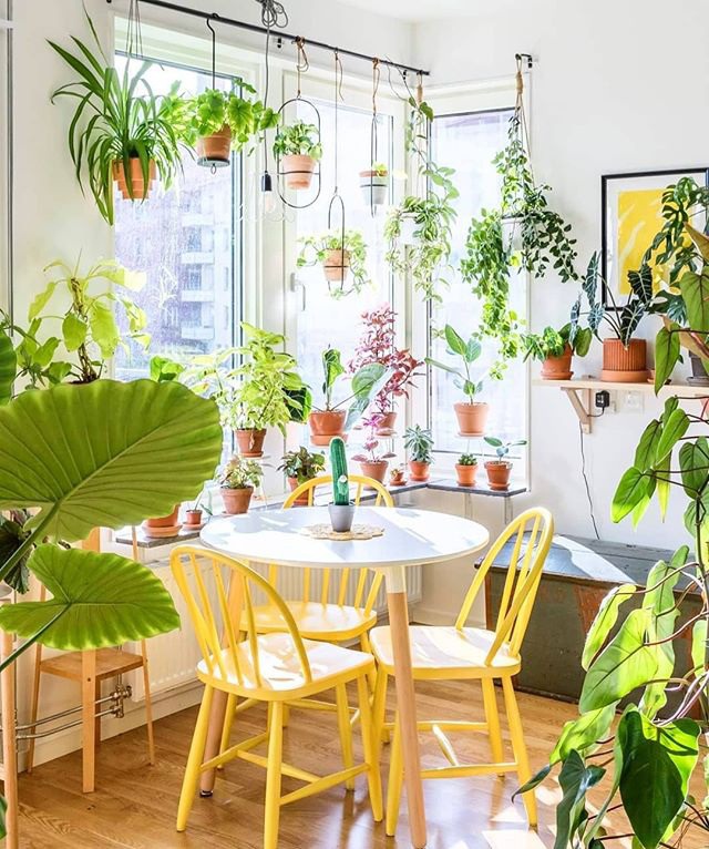 https://www.instagram.com/thesill/
