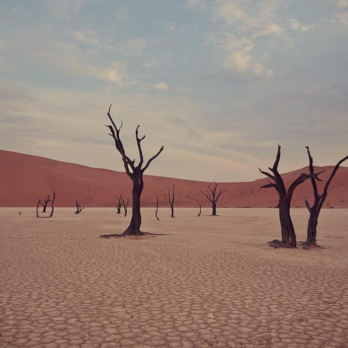 Gorgeous Cinematic Photography by Erik Almas