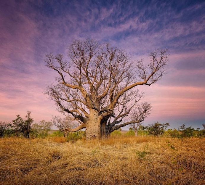 Outstanding Landscapes of Western Australia by Ben Broady