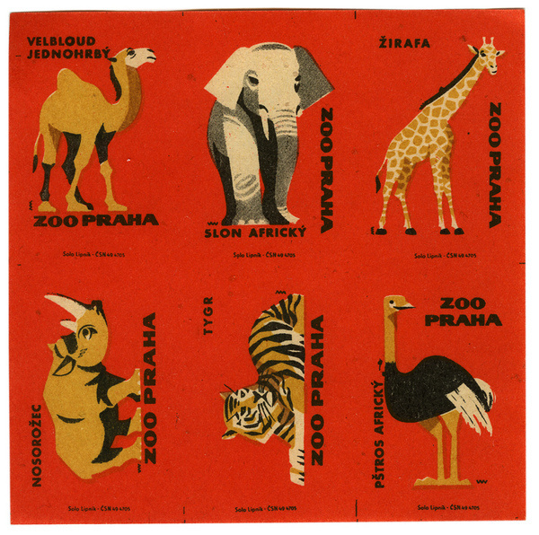 photo #matchbox #zoo #matchbook