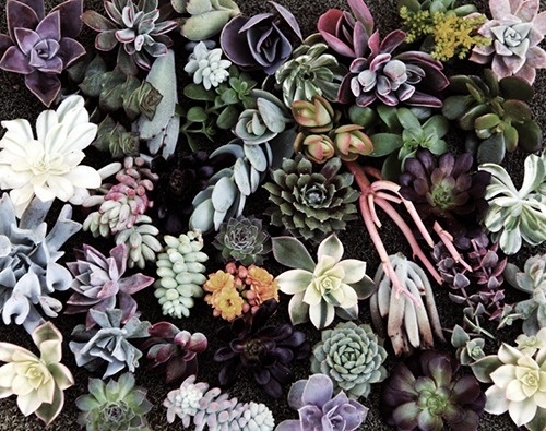 image #inspiration