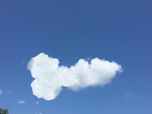 dick cloud
