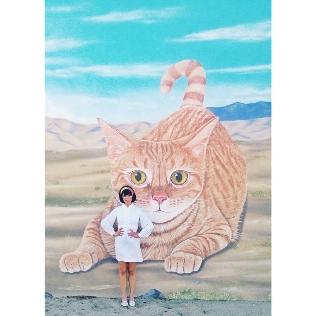 Jimmy Marble #cat