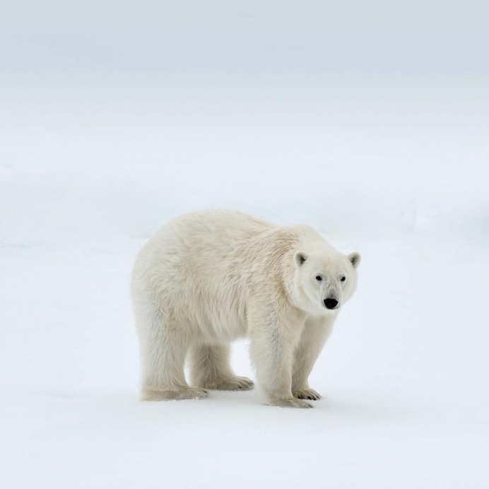 Wonderful Outdoor and Landscape Photography by Lina Kayser