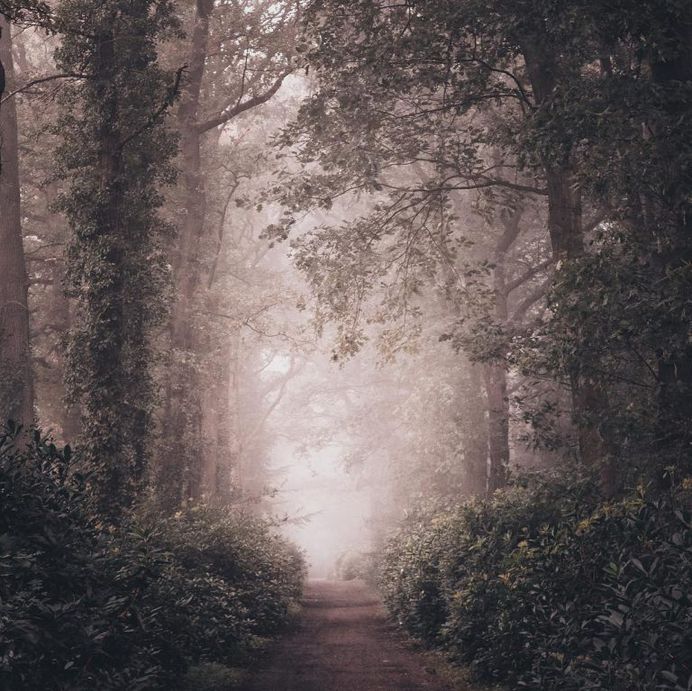 Ronald Jansen Captures the Beauty of Netherlands Through Stunning Landscapes