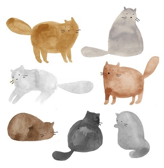 Cats Cats Cats Illustration Watercolor Cat Search By Muzli