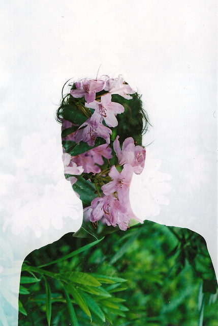 Liam Hart #multiple #exposure #liam #photography #hart #flowers