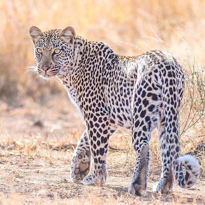 Photos and Videos by @hamishmitchellphotography - Instagram Post