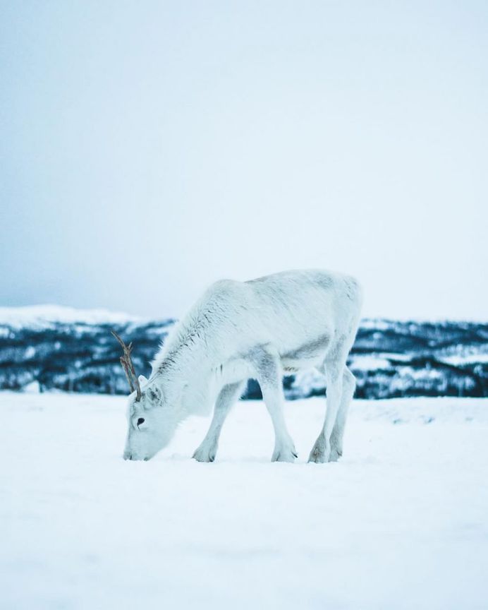 Winter Wonderland in Norway: Landscape Photography by Steffen Fossbakk
