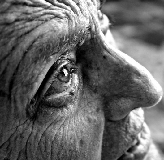 National Geographic's Photography Contest 2010 - The Big Picture - Boston.com #face #photography #blackwhite