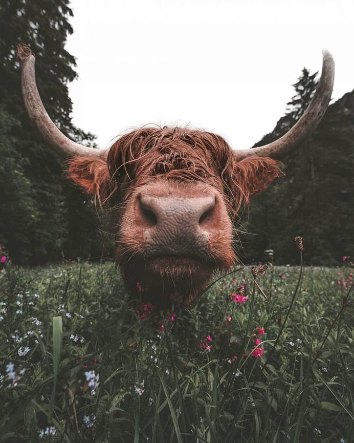 #folkcreative: Stunning Adventure Photography by Daniel Weissenhorn