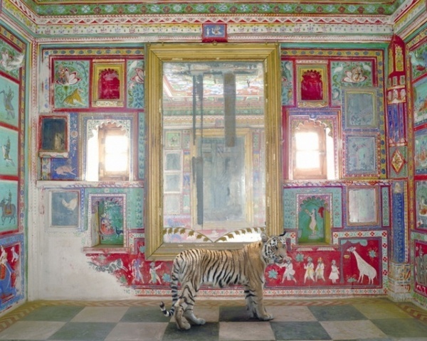 Photography by Karen Knorr #inspiration #photography #animals